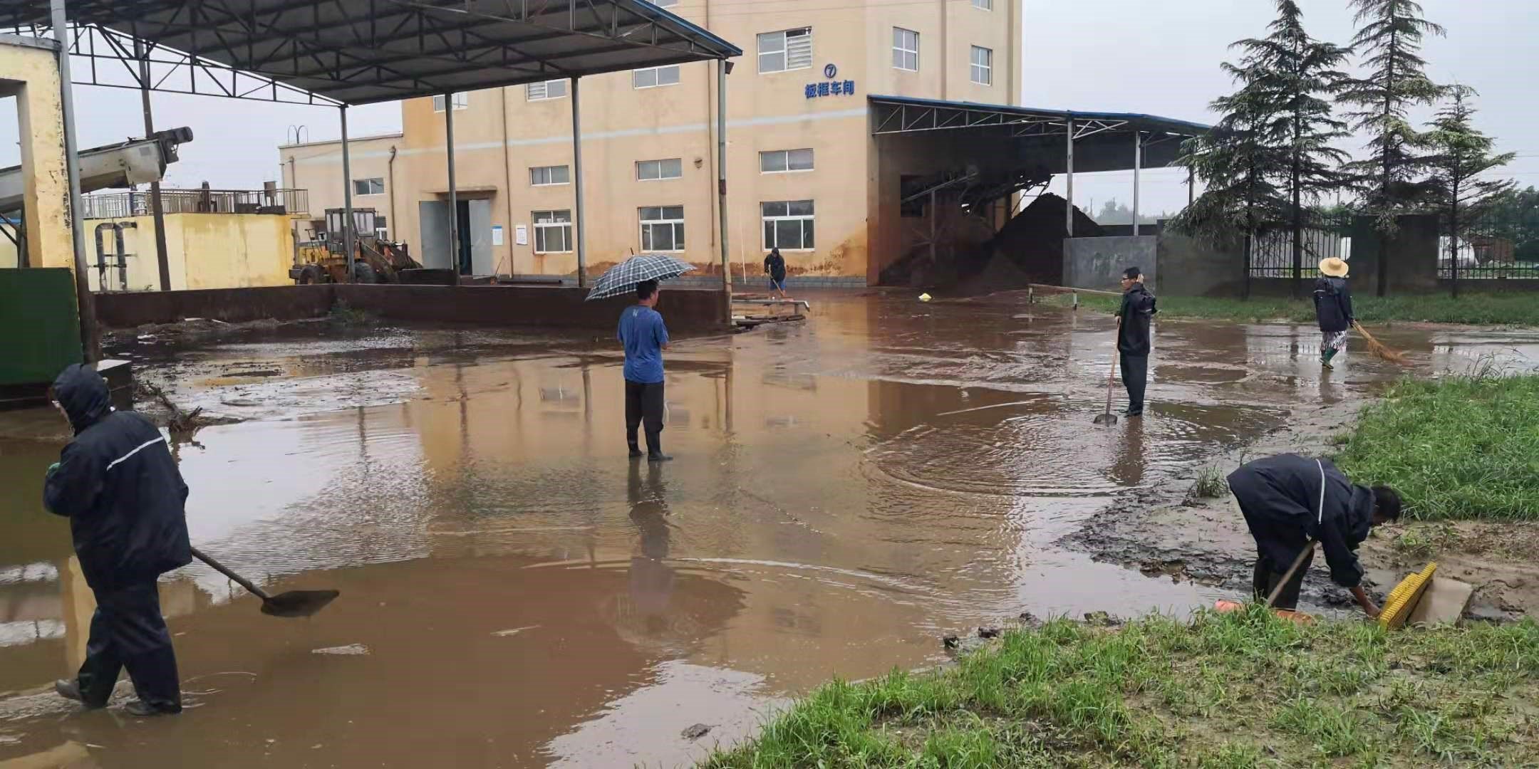 1565941916437907.jpg 1565941916437907.jpg