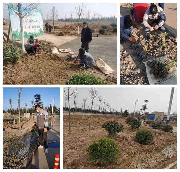 1648022824656035.jpg 绿化颜值提升.jpg