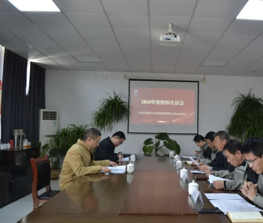 1744184358695244.png 截屏2025-04-09 15.38.15.png